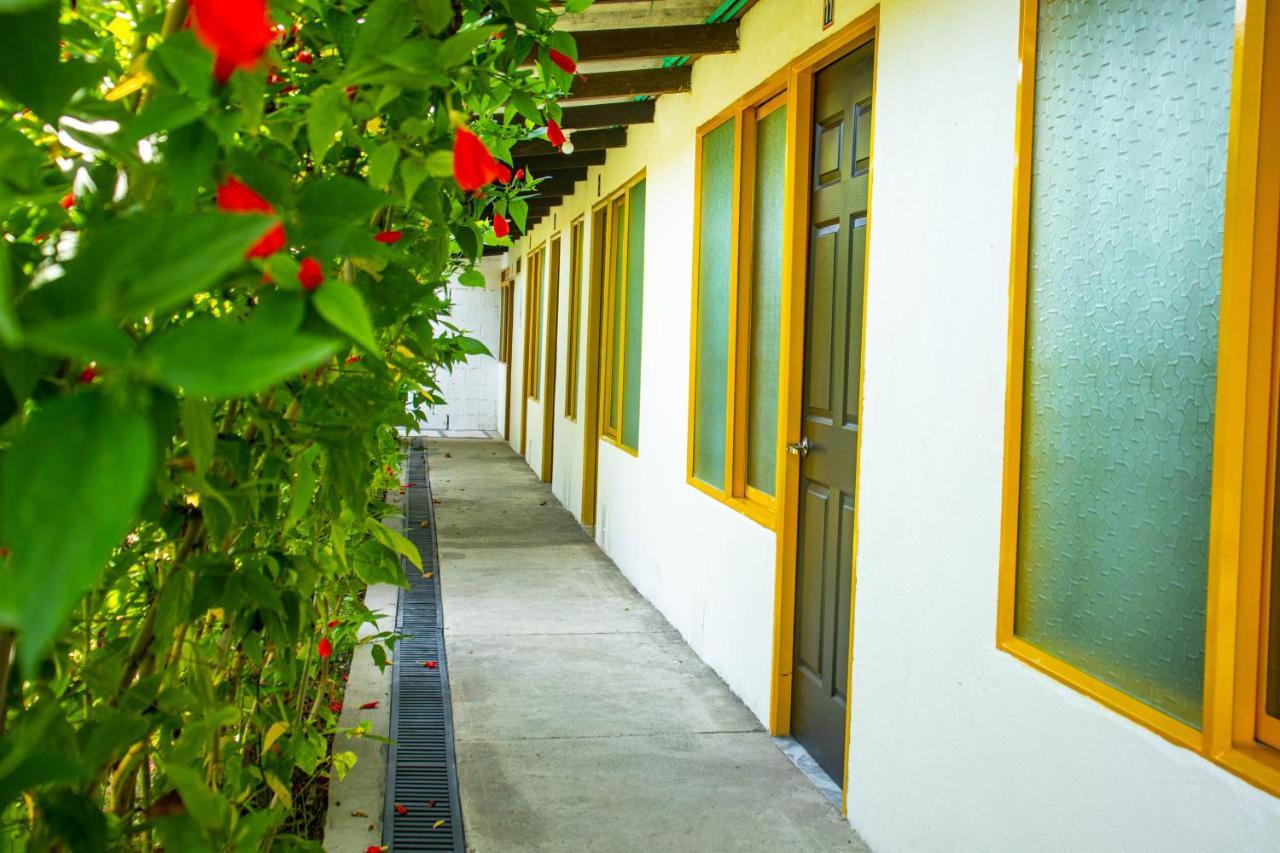 Hotel Villa Bosco Пальміра Екстер'єр фото